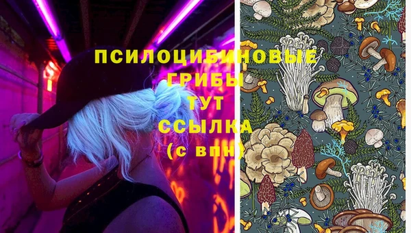 марки nbome Магадан